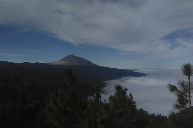 Volcano Teide National Park And North Of The Island VIP TOUR - Key Highlights You Should Know Before You Go