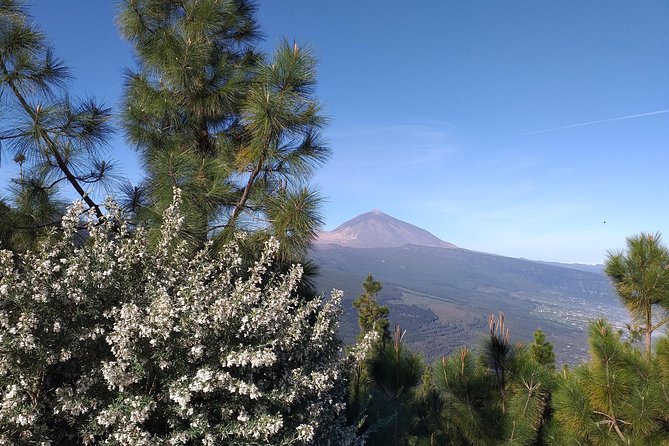 Volcano Teide National Park And North Of The Island VIP TOUR - Stop 1: La Laguna (UNESCO Old Town Feel) and Why It Sets the Tone