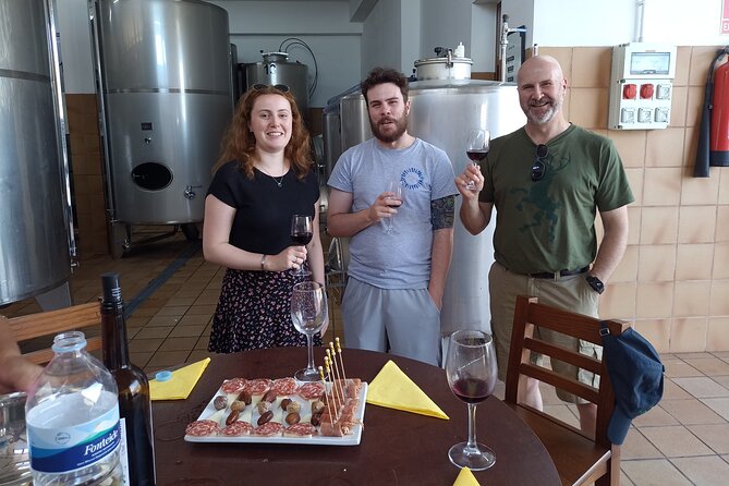Wine, Canarian Tapas, Culture, VIP Private tour - photos included - Vilaflor Winery: Vineyard Walk, Canarian Tapas, and the Wine Angle
