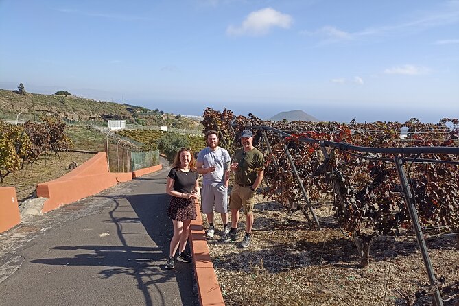 Wine, Canarian Tapas, Culture, VIP Private tour - photos included - Los Roques and Playa de El Roque: Cave Houses and Black Sand Quiet
