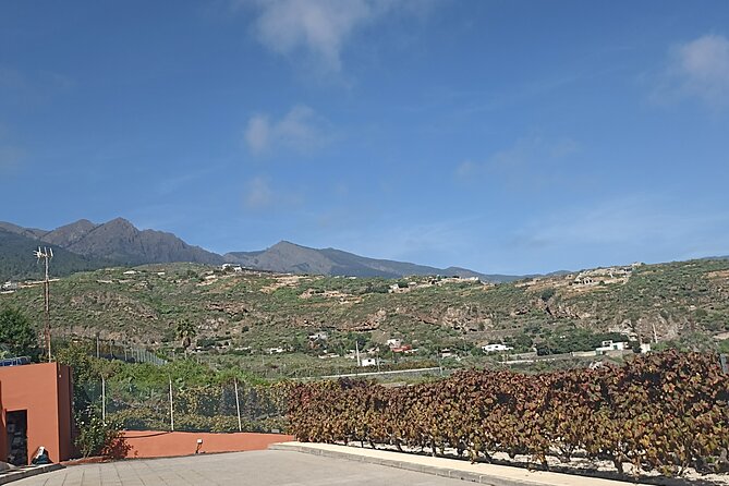 Wine, Canarian Tapas, Culture, VIP Private tour - photos included - Basilica de Nuestra Senora de Candelaria: Where Tenerife’s Patron Energy Lives