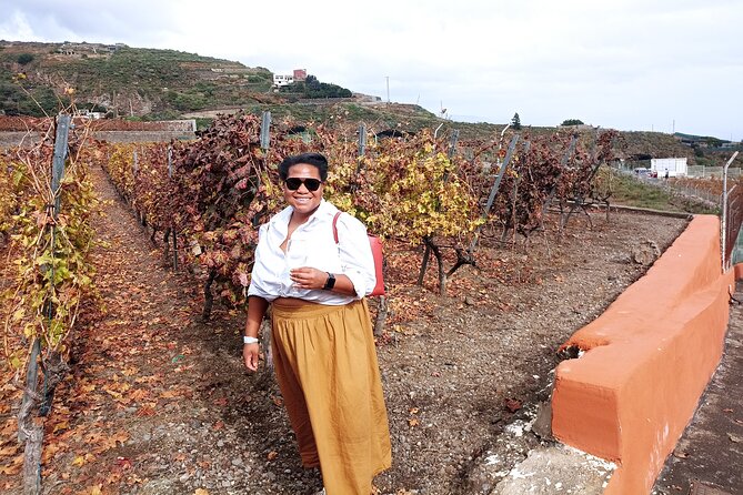 Wine, Canarian Tapas, Culture, VIP Private tour - photos included - Price and Value: What $396.97 Means for a Private Group