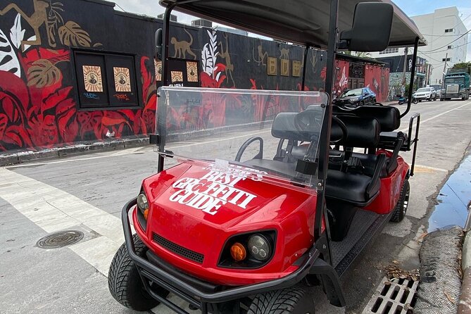 Wynwood Street Art Tour - Artist Lead -VIP Cart - Key highlights at a glance