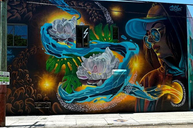 Wynwood Street Art Tour - Artist Lead -VIP Cart - Price and value: is $42 for 1 hour a smart deal?