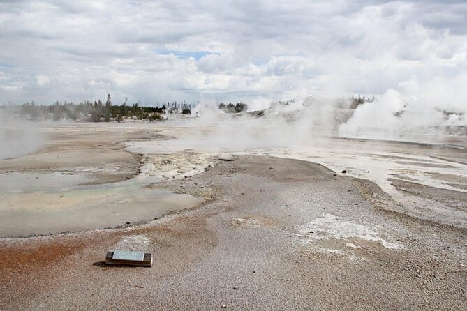 Yellowstone Lower Loop VIP Full-Day Private Tour with Lunch - A private Lower Loop that keeps the best odds in one day