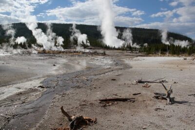 Yellowstone Lower Loop VIP Full-Day Private Tour with Lunch - How Pickup From Island Park and West Yellowstone Changes Your Day