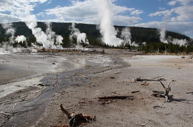 Yellowstone Lower Loop VIP Full-Day Private Tour with Lunch - Old Faithful: Easy Viewing, Ranger Forecasts, and the Best Sort of Waiting