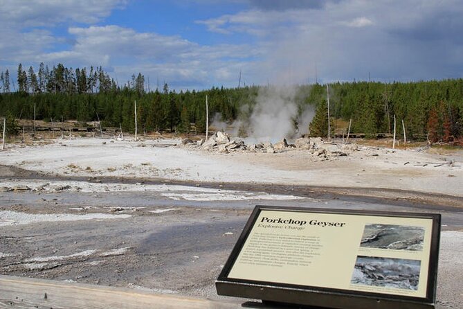 Yellowstone Lower Loop VIP Full-Day Private Tour with Lunch - Fountain Paint Pot and Grand Prismatic Spring: Color, Texture, and Why No Two Features Match