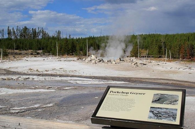Yellowstone Lower Loop VIP Full-Day Private Tour with Lunch - Yellowstone Lake Break: Cold Water Facts and View-First Stops