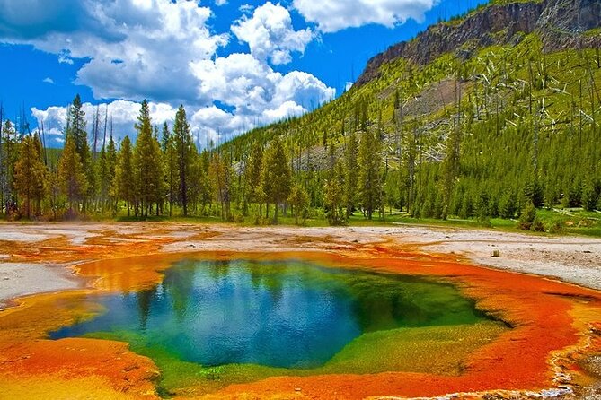 Yellowstone Lower Loop VIP Full-Day Private Tour with Lunch - Should You Book This Yellowstone Lower Loop VIP Tour?