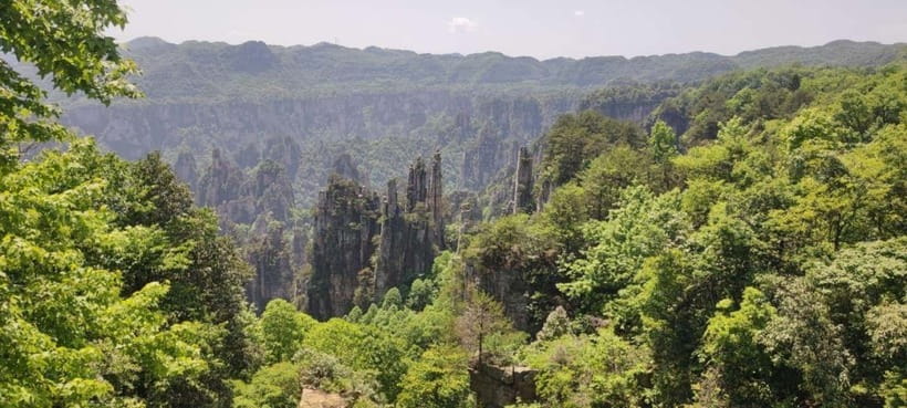 Zhangjiajie: National Forest Park 1-Day VIP Private Tour - Key reasons this VIP private tour works