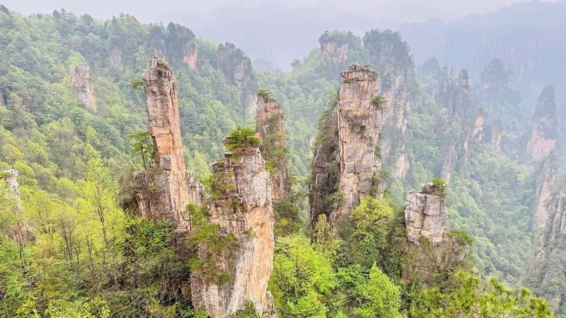 Zhangjiajie: National Forest Park 1-Day VIP Private Tour - VIP access, hotel pickup, and a calmer start in Zhangjiajie