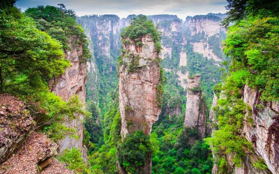 Zhangjiajie: VIP Zhangjiajie National Forest Park Day Tour - Wulingyuan Scenic Area to Forest Park gate: start easy, start smart