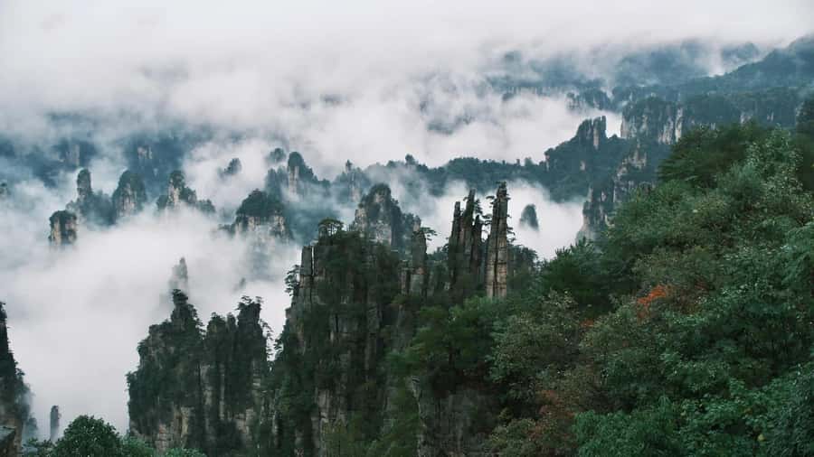 Zhangjiajie: VIP Zhangjiajie National Forest Park Day Tour - Price and value: what you’re really paying for at $199