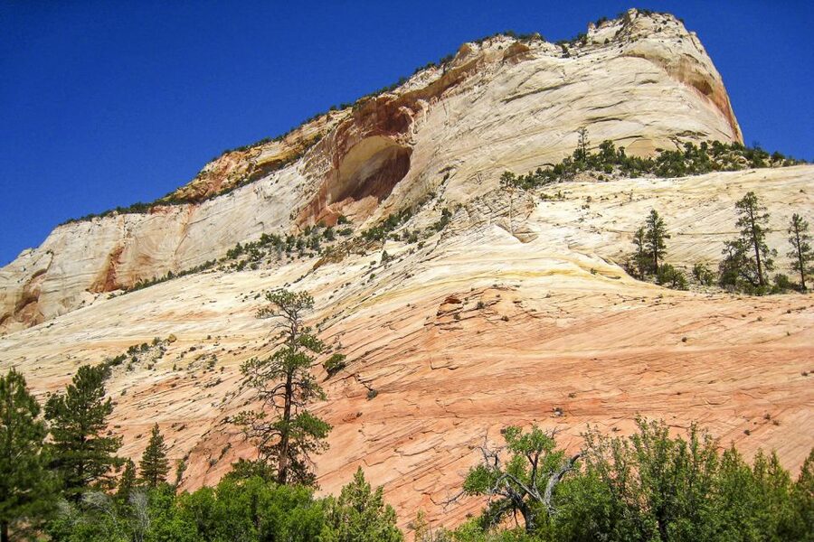 Zion National Park Small Group Adventure from Las Vegas - Morning fuel: continental breakfast, water/snacks, and what to pack