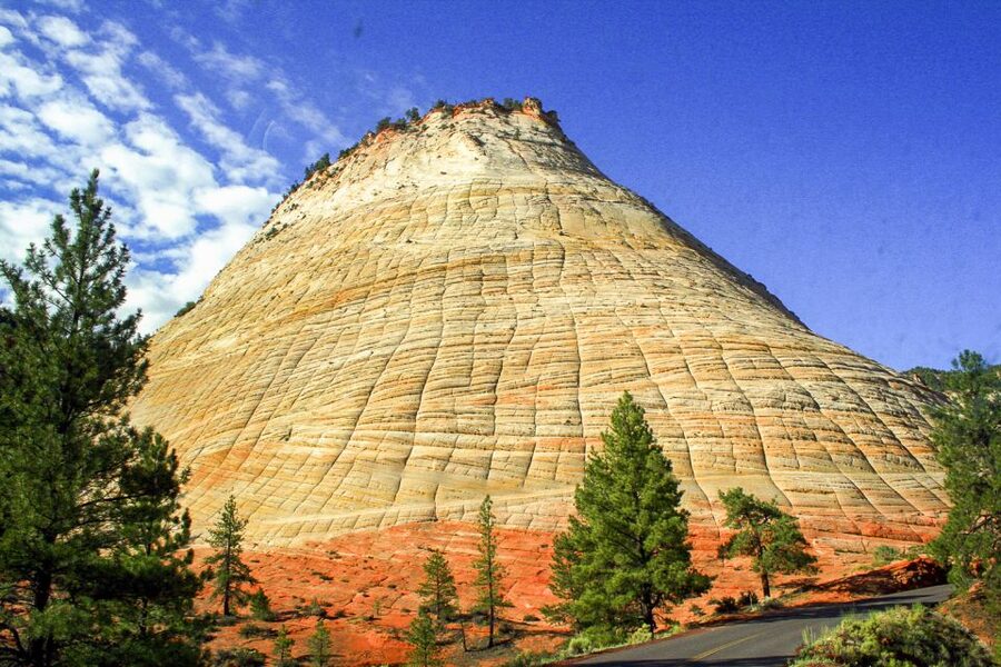 Zion National Park Small Group Adventure from Las Vegas - Nature isn’t an add-on: wildlife and bird watching that feels real