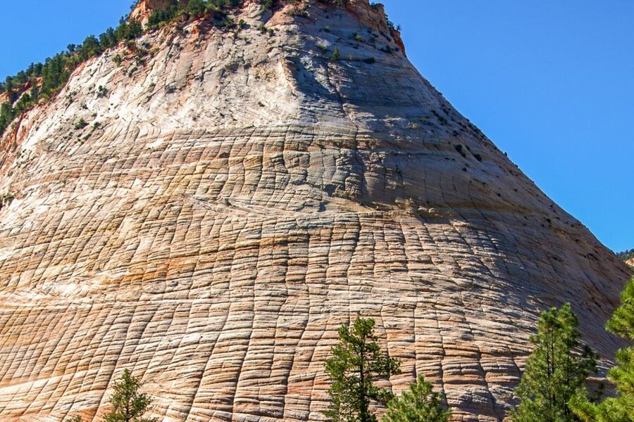 Zion National Park Small Group Adventure from Las Vegas - Price and value: is $293 a fair deal?