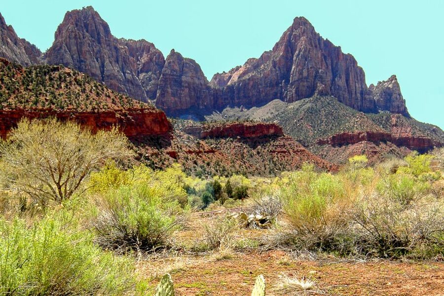 Zion National Park Small Group Adventure from Las Vegas - Getting to Zion: free pickup, VIP transport, and timing realism